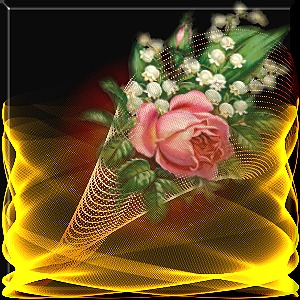 Bonjour Mes Amis(ies)